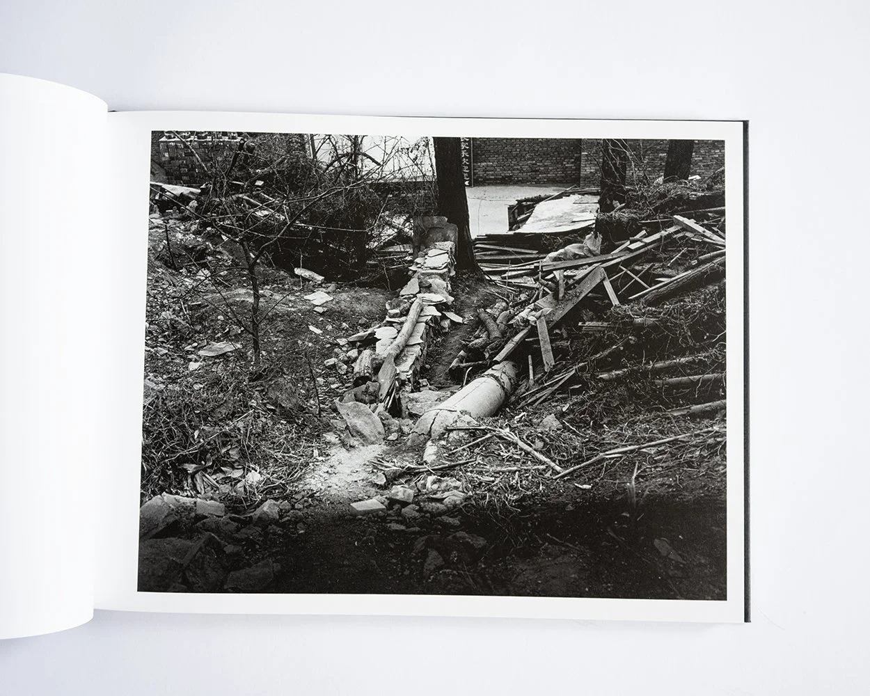 William Eggleston: A Cor Americana — bookdummypress